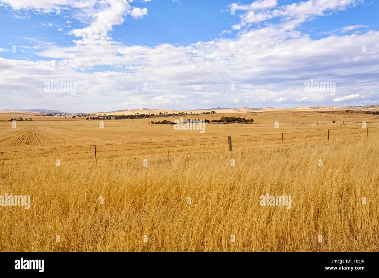 Terreni agricoli tra Burra e Claire in Sud Australia Foto Stock