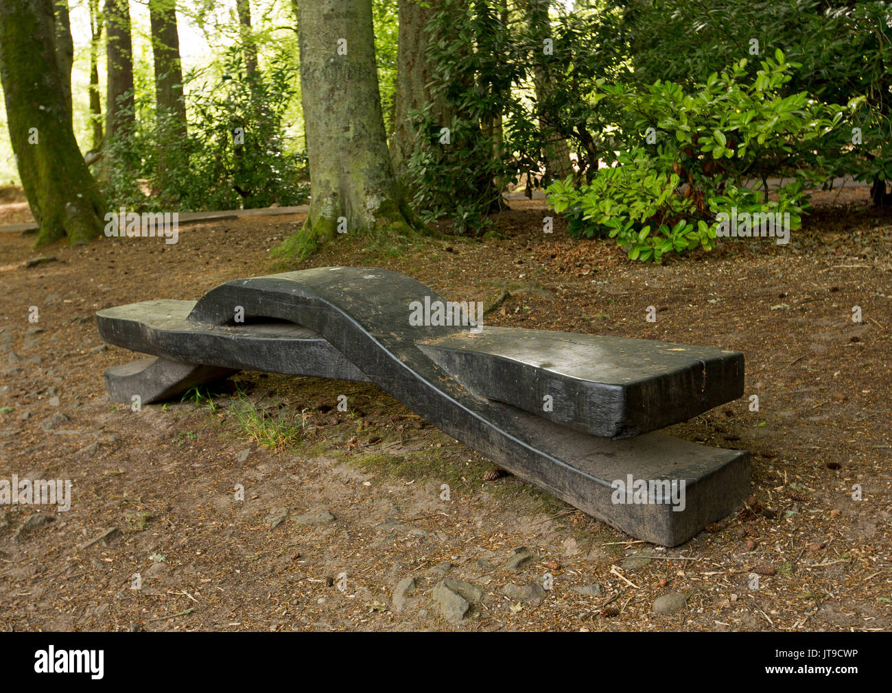 Unico banco in legno / scultura artistica scolpito dal singolo log, nel parco boschivo in Inverness, Scotland Foto Stock