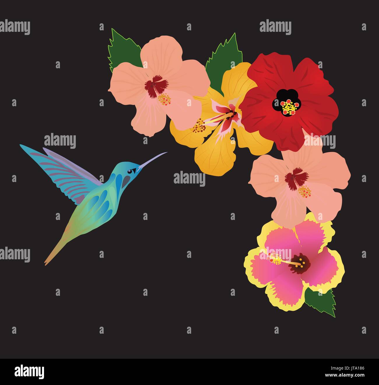 Illustrazione vettoriale di colibrì e fiori Illustrazione Vettoriale