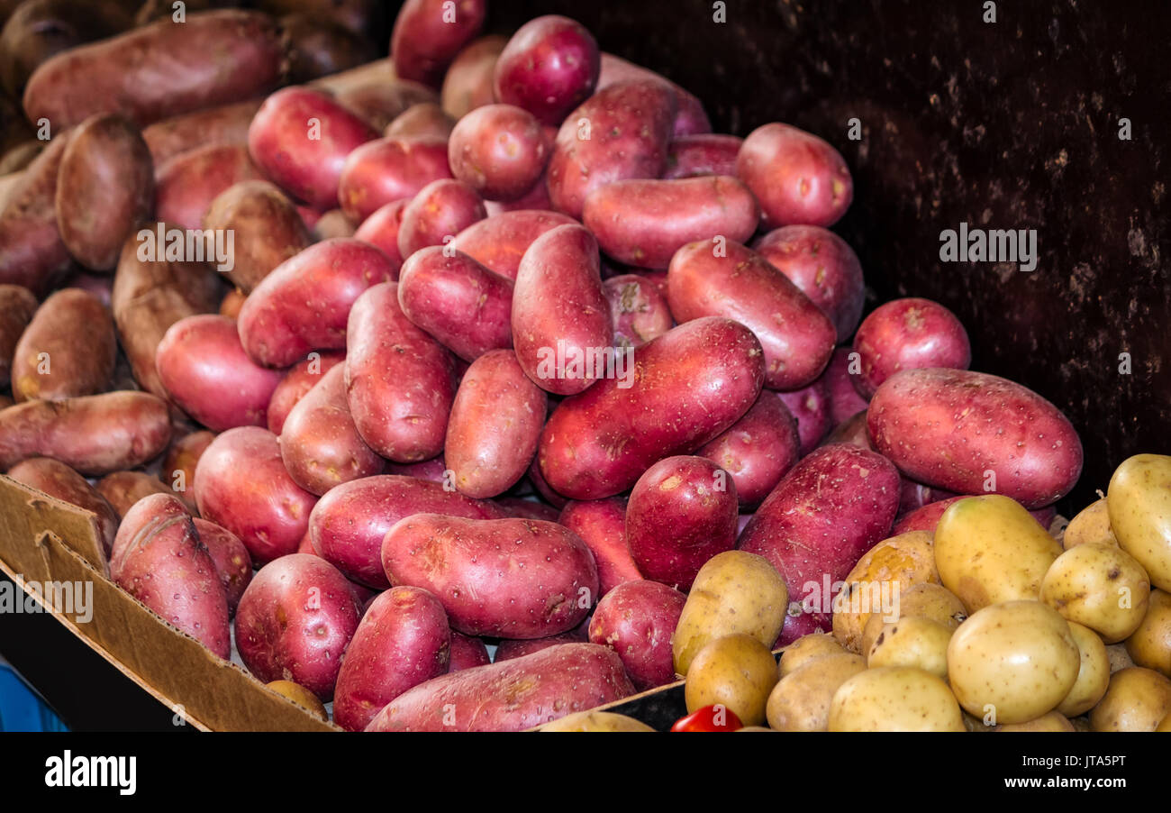 Varietà di patate- dolce e nuove patate al mercato degli agricoltori Foto Stock