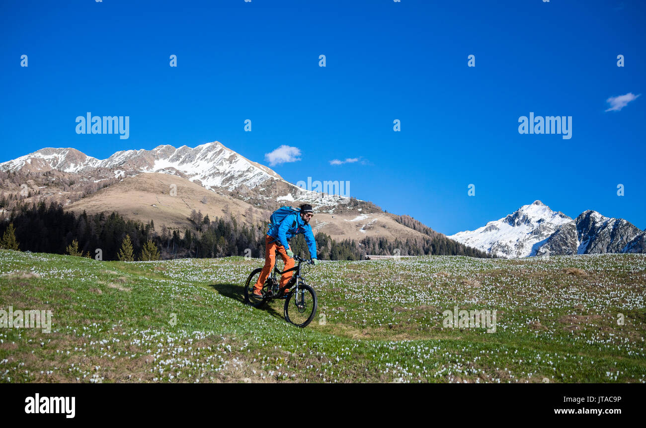Mountain bike sul verde dei prati coperti da crocus in fiore, Albaredo Valle, Alpi Orobie, Valtellina, Lombardia, Italia, Europa Foto Stock