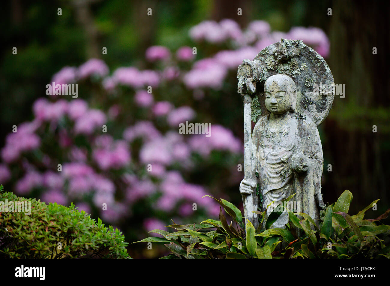 Statua buddista, Sanzen-in tempio, Kyoto, Giappone, Asia Foto Stock