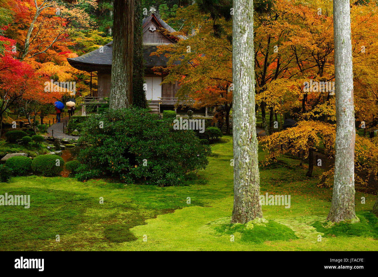 Colori autunnali in Sanzen-in tempio moss garden, valle Ohara, Kyoto, Giappone, Asia Foto Stock