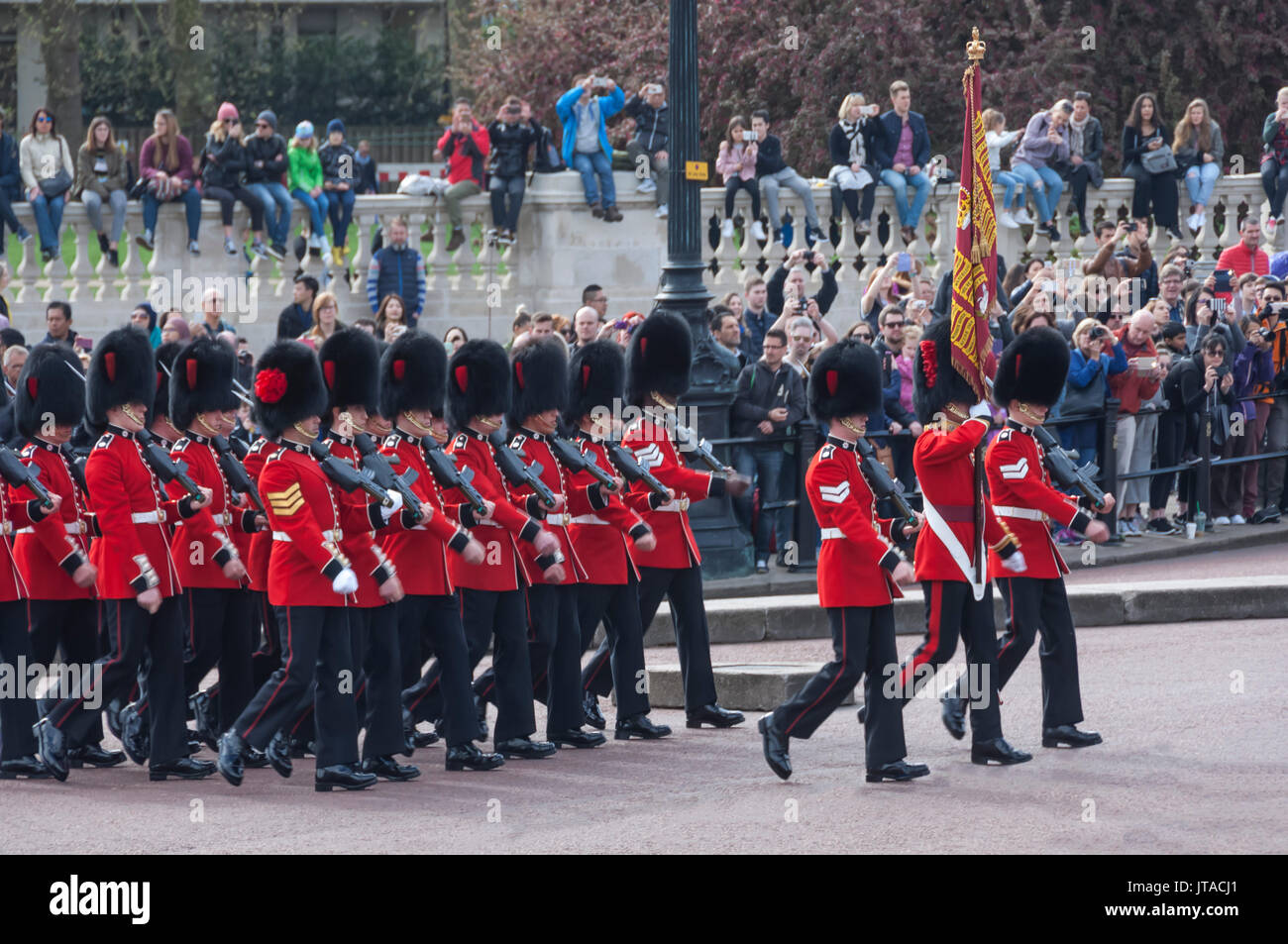 Banda delle guardie di Coldstream con i loro standard, durante il cambio della guardia, Buckingham Palace, London, England, Regno Unito, Europa Foto Stock