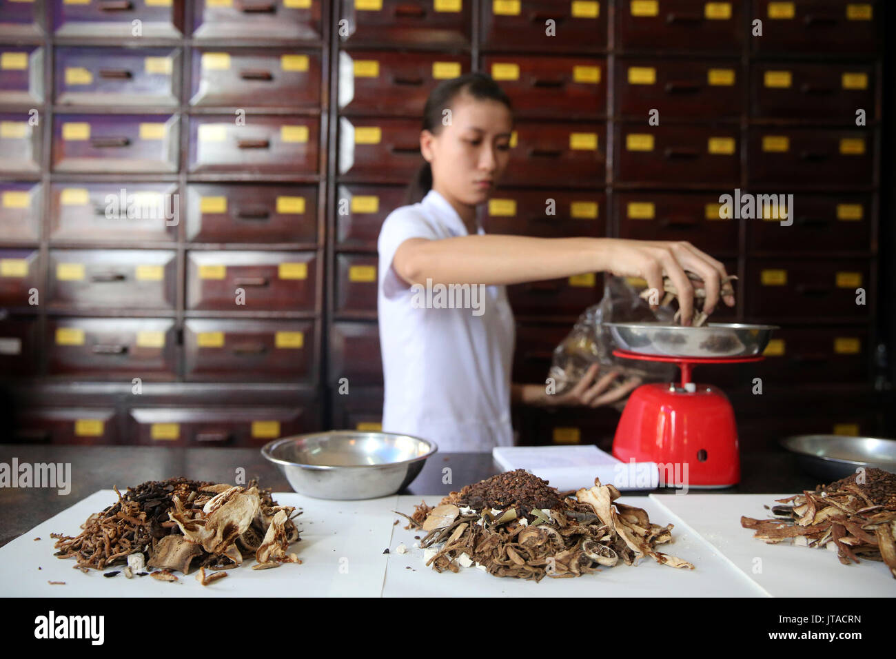 La medicina di erbe terapia, medicina tradizionale cinese farmacia, Ho Chi Minh City, Vietnam, Indocina, Asia sud-orientale, Asia Foto Stock