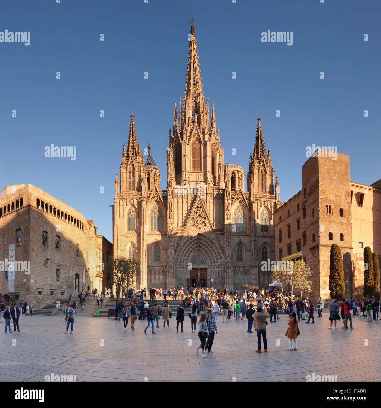 La Catedral de la Santa Creu i Santa Eulalia (Cattedrale di Barcellona), Barri Gotic, Barcellona, in Catalogna, Spagna, Europa Foto Stock