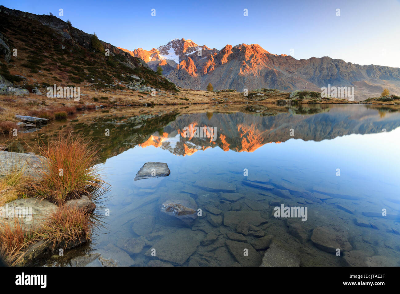 I picchi rocciosi del monte Disgrazia si riflette nel lago Zana a sunrise, Malenco Valley, Valtellina, Lombardia, Italia, Europa Foto Stock