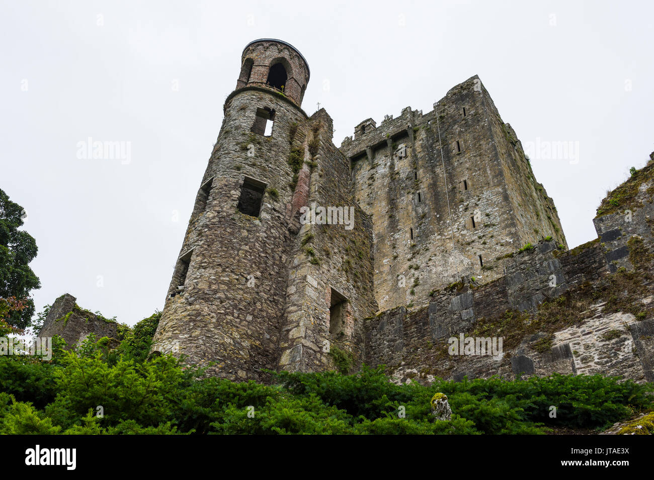 Blarney Castle, Blarney, County Cork, Munster, Repubblica di Irlanda, Europa Foto Stock