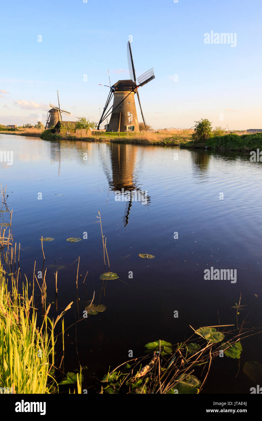 Mulini a vento tipico riflesso nel canal incorniciato da erba in primavera, Kinderdijk, Sito Patrimonio Mondiale dell'UNESCO, Molenwaard, South Holland, Paesi Bassi Foto Stock