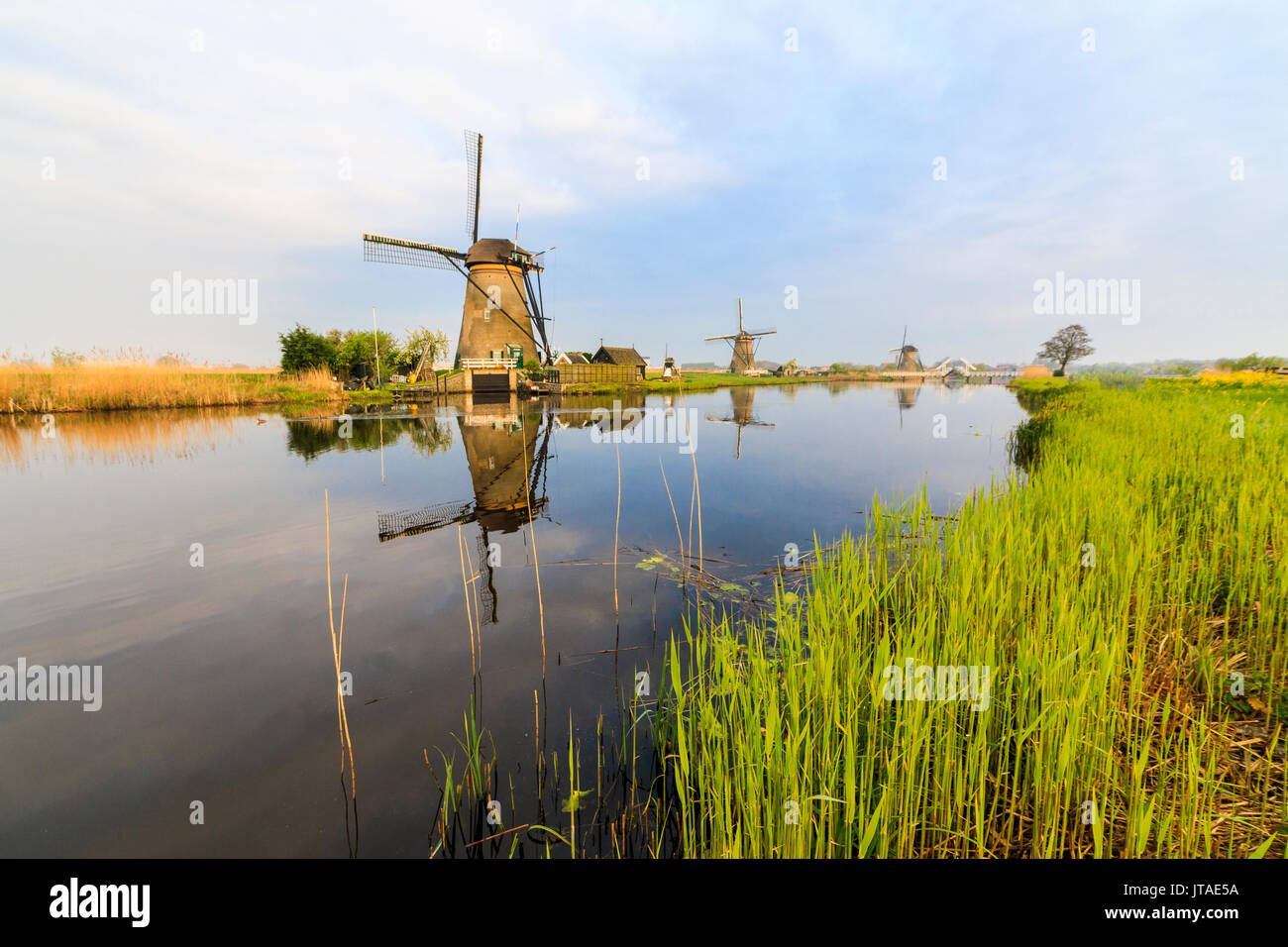 Alba di mulini a vento si riflette in un canale circondato da verdi prati, Kinderdijk, Sito Patrimonio Mondiale dell'UNESCO, Molenwaard, South Holland, Netherlan Foto Stock