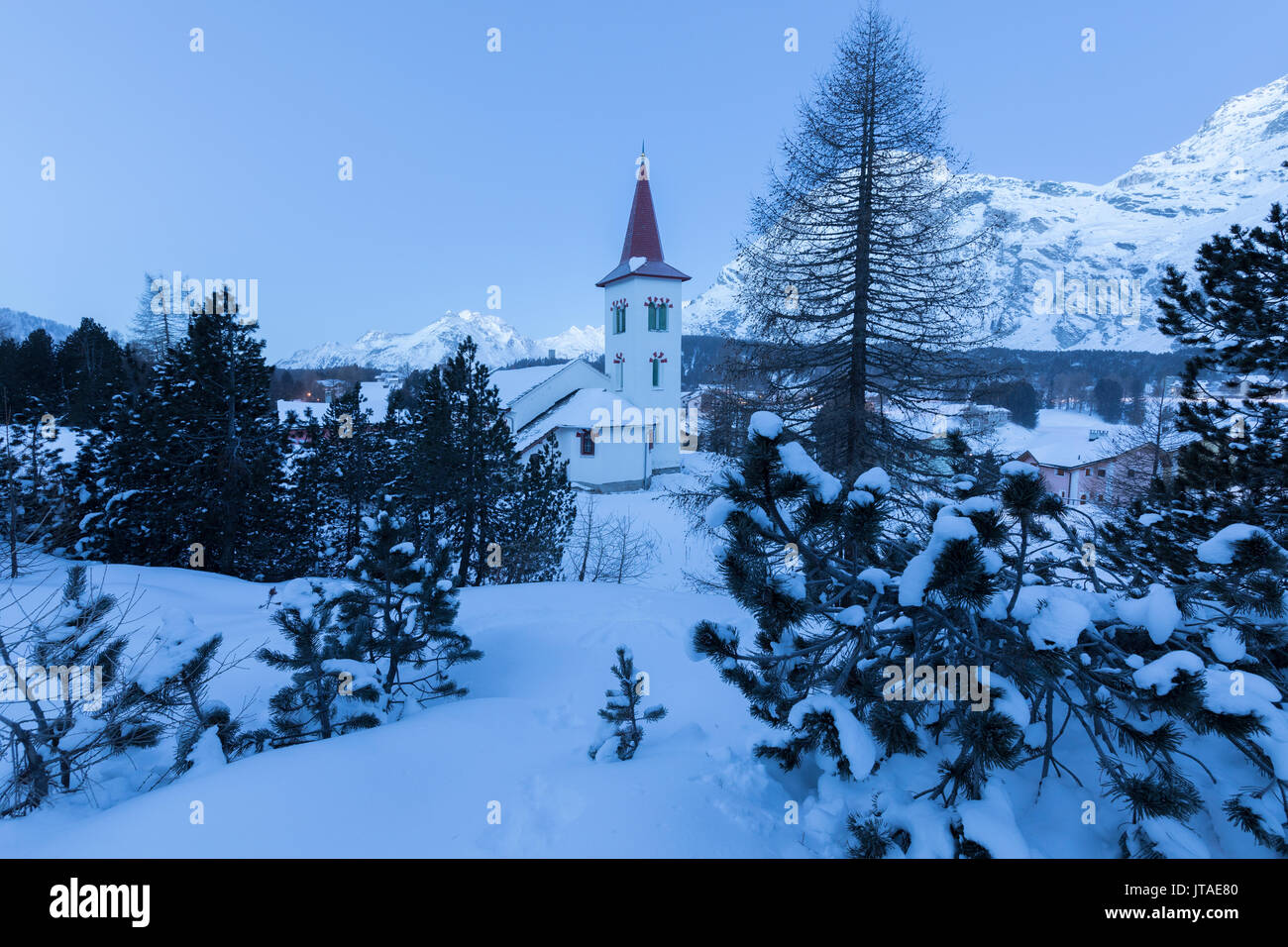 Le spie blu del tramonto su Chiesa bianca incorniciate da alberi innevati, Maloja Pass, Engadina nel Cantone dei Grigioni, Svizzera, Europa Foto Stock