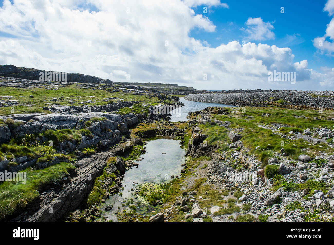 Terreno molto roccioso motivi in Arainn, Isole Aaran, Repubblica di Irlanda, Europa Foto Stock