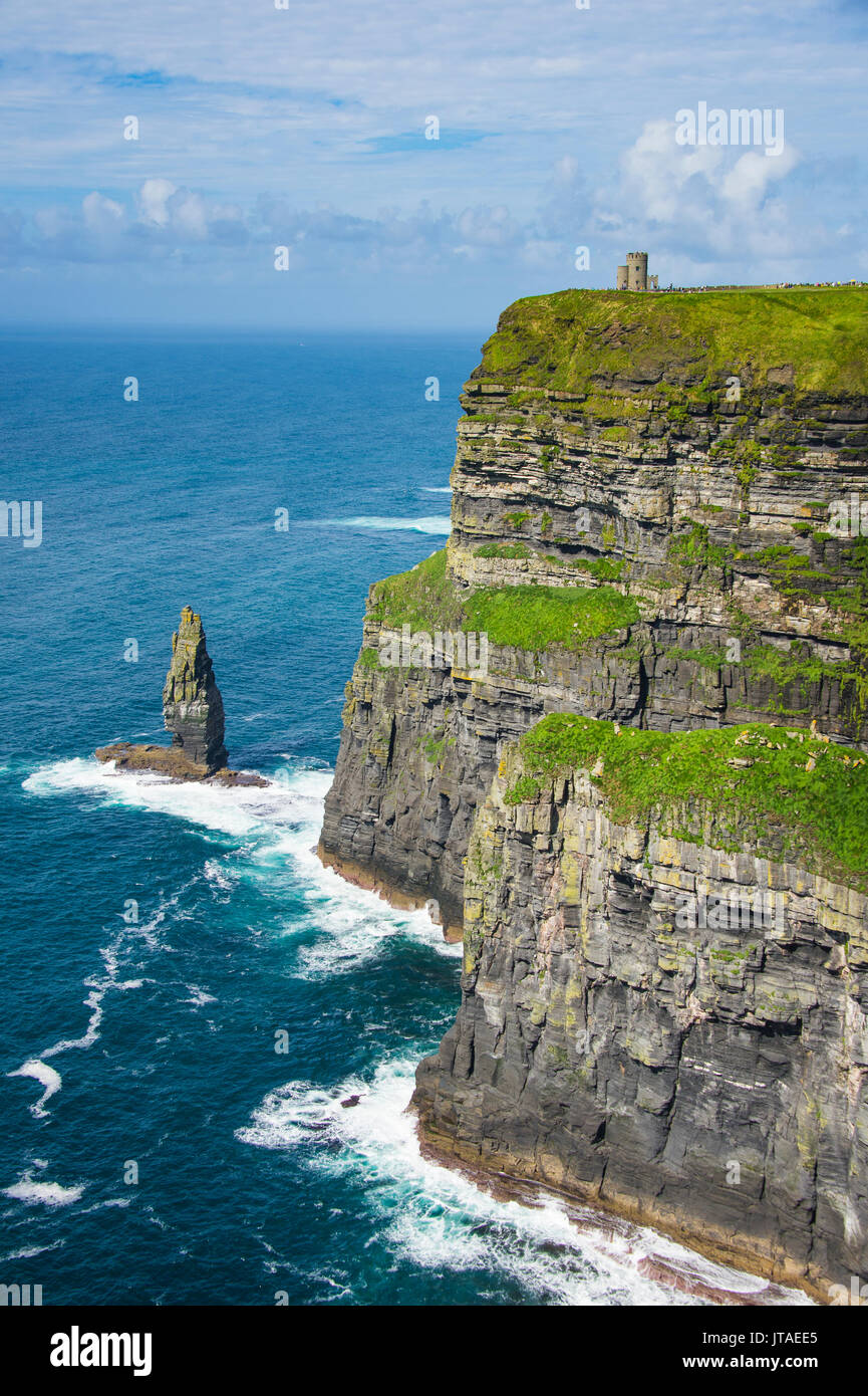Scogliere di Moher, Burren, County Clare, Munster, Repubblica di Irlanda, Europa Foto Stock