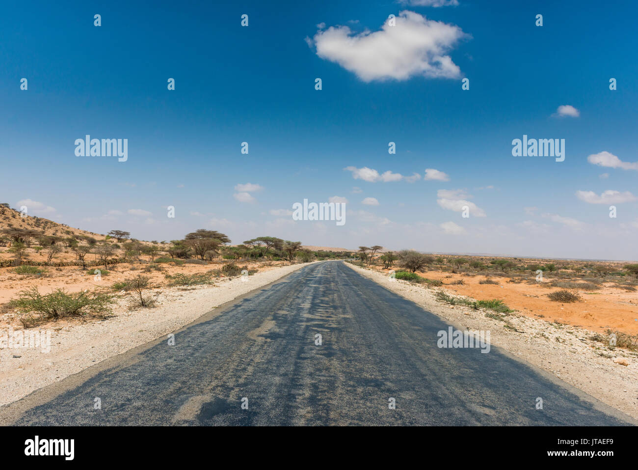 Strada tra Hargheisa e Berbera, il Somaliland e la Somalia, Africa Foto Stock