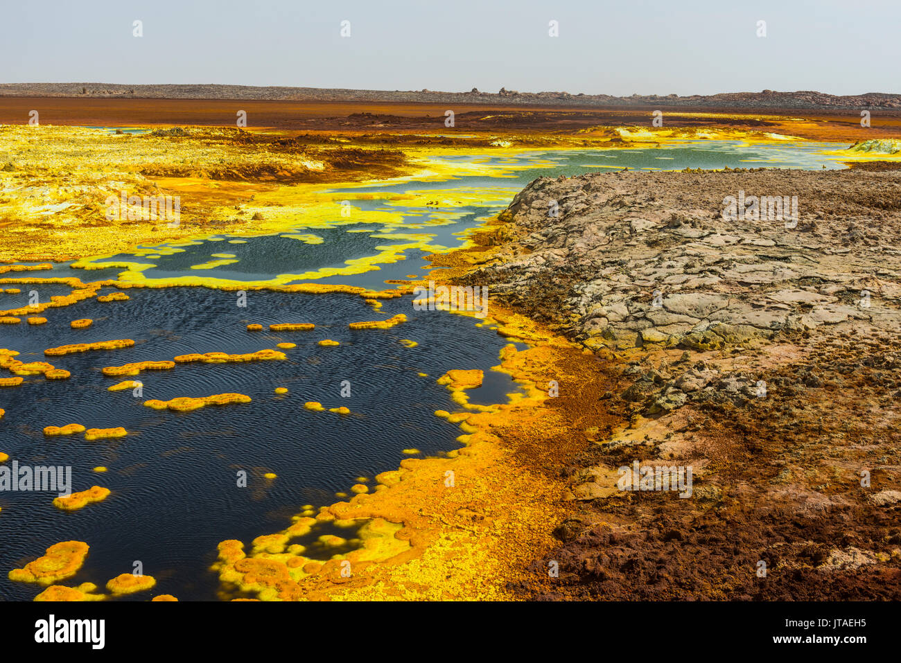 Molle colorate di acido in Dallol, luogo più caldo della terra, Danakil depressione, Etiopia, Africa Foto Stock