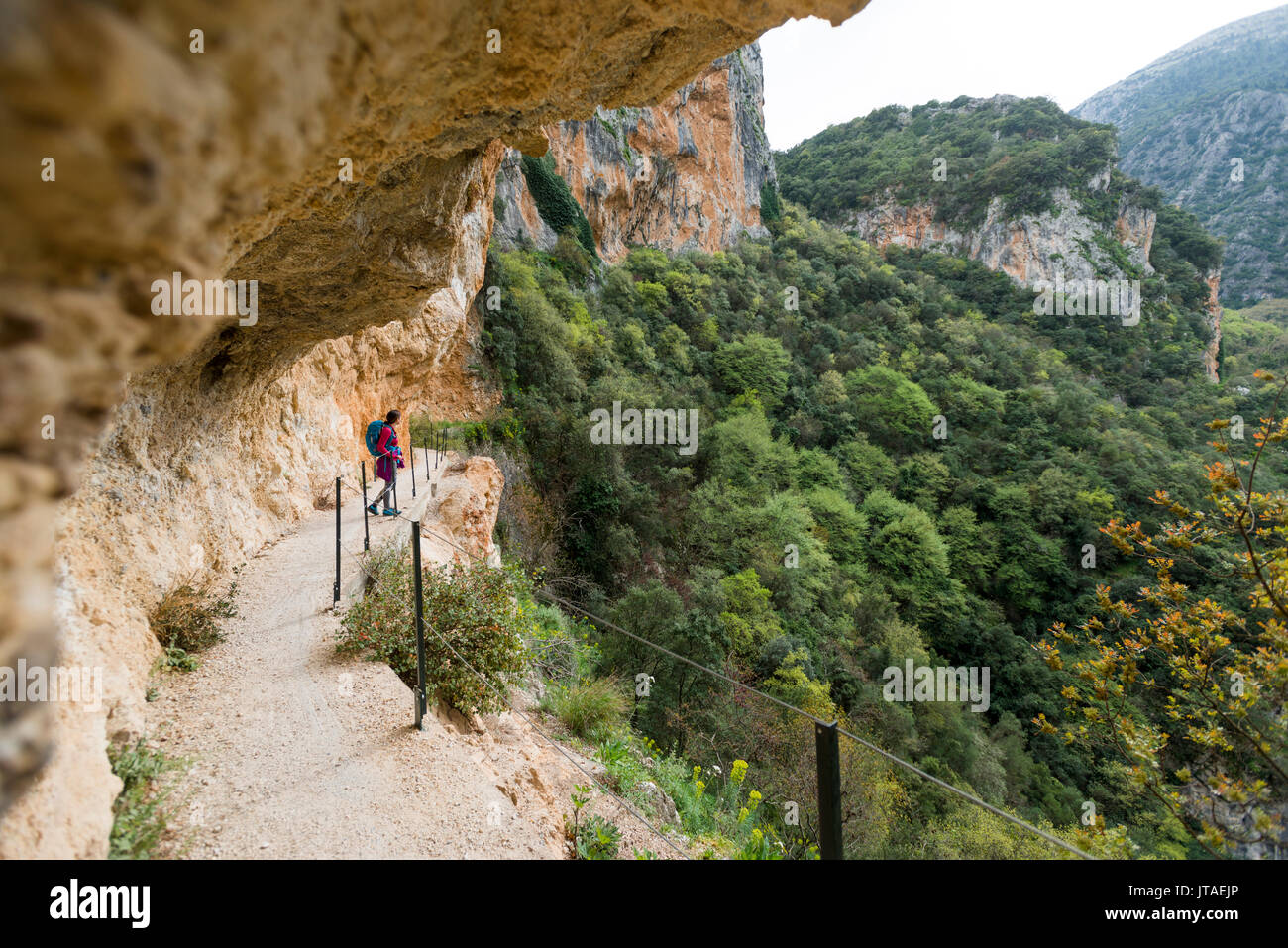 Una donna escursionismo in Taigetos montagne sopra Mistra nel Peloponneso, Grecia, Europa Foto Stock