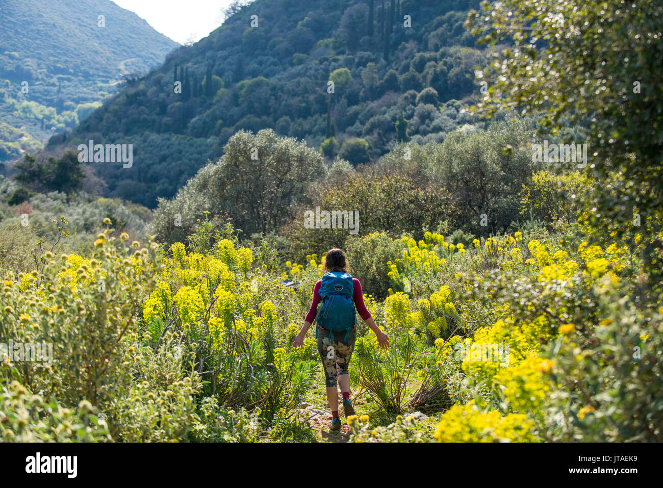 Una donna escursionismo un sentiero pieno di abbondanti fiori selvatici sulle mani nella penisola del Peloponneso, della Grecia, Europa Foto Stock