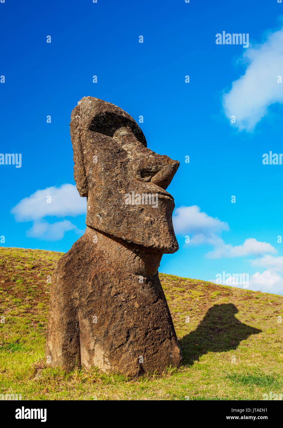 Moai alla cava sul pendio del vulcano Rano Raraku, Parco Nazionale di Rapa Nui, UNESCO, Isola di Pasqua, Cile Foto Stock