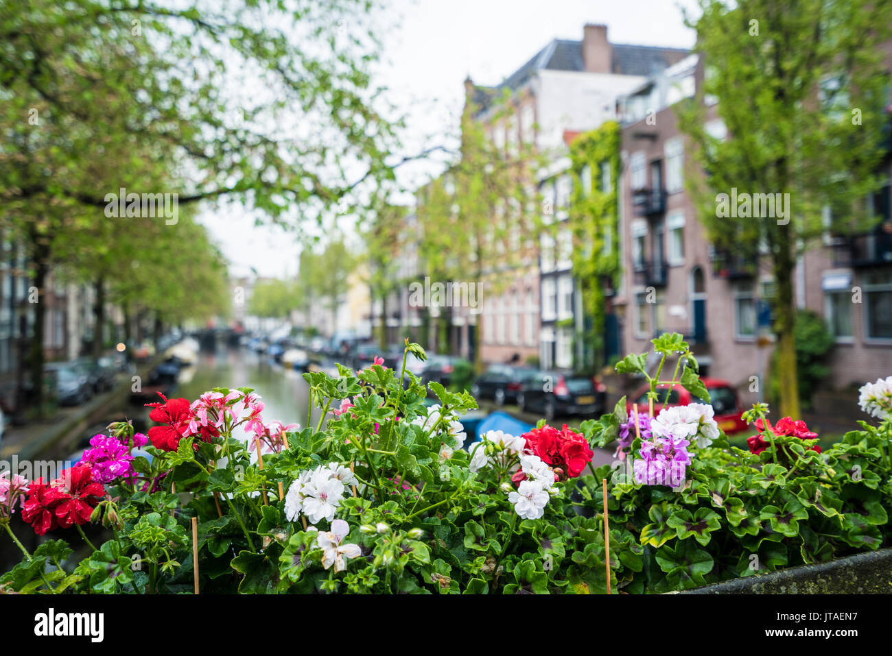 Quartiere Jordaan, Amsterdam, Paesi Bassi, Europa Foto Stock