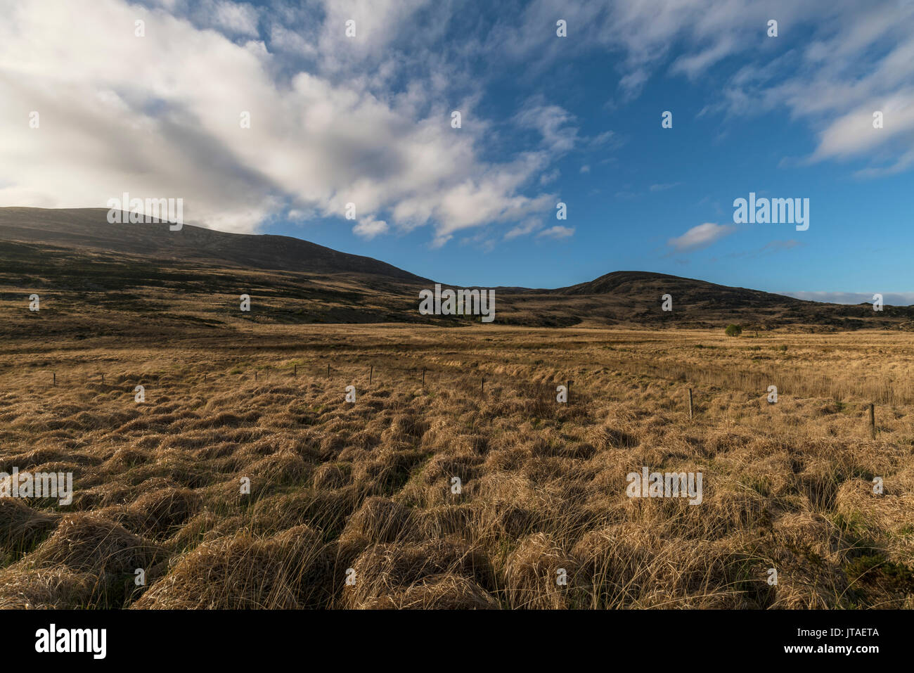 Core, il vecchio Kenmare Road, Parco Nazionale di Killarney, nella contea di Kerry, Munster, Repubblica di Irlanda, Europa Foto Stock