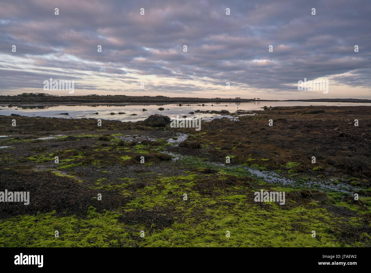 Ponte Carrickalegaun, Gorumna Isola, Connemara, nella contea di Galway, Connacht, Repubblica di Irlanda, Europa Foto Stock