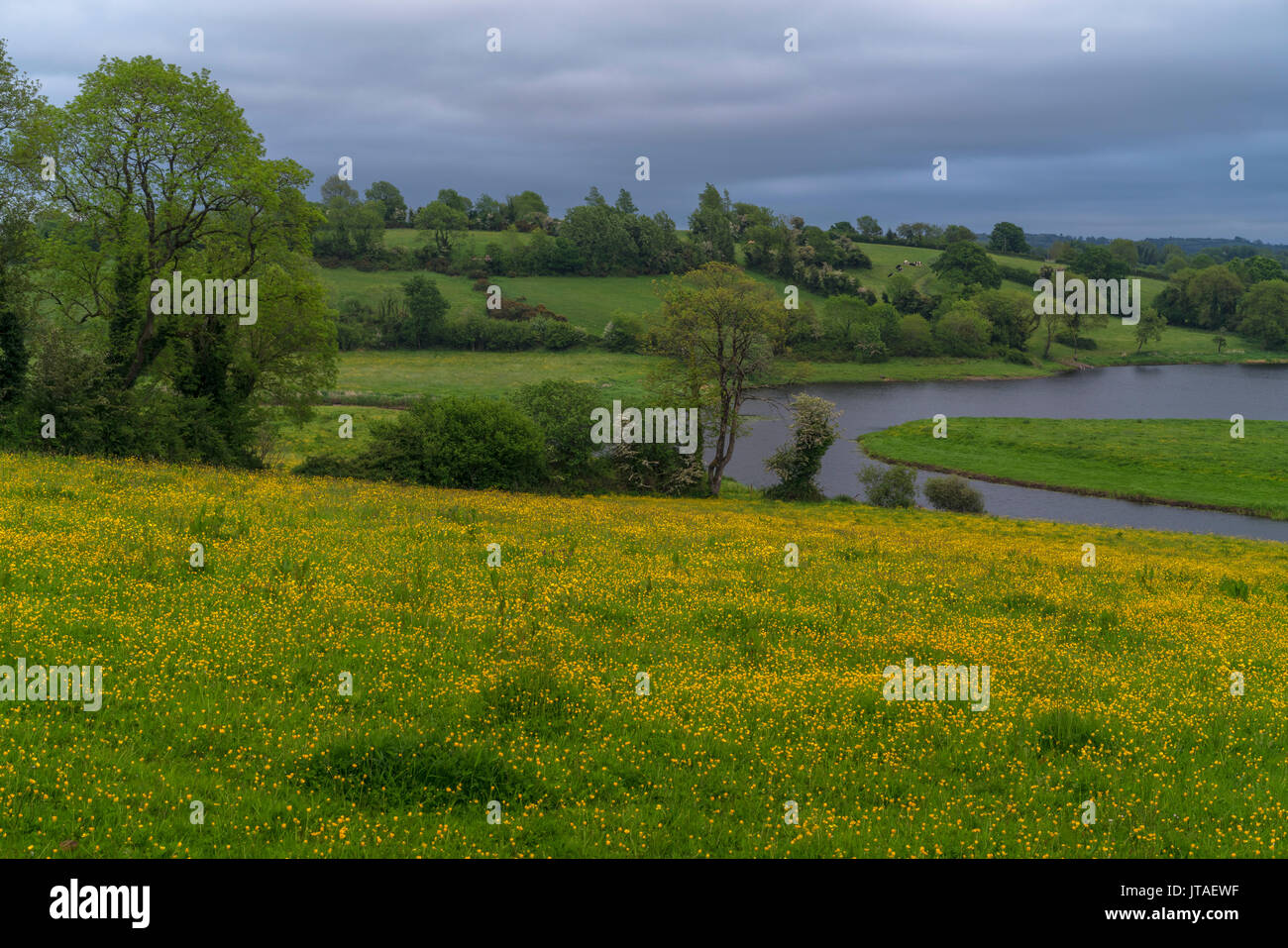 Lough Ougther, nella contea di Cavan, Ulster, Repubblica di Irlanda, Europa Foto Stock