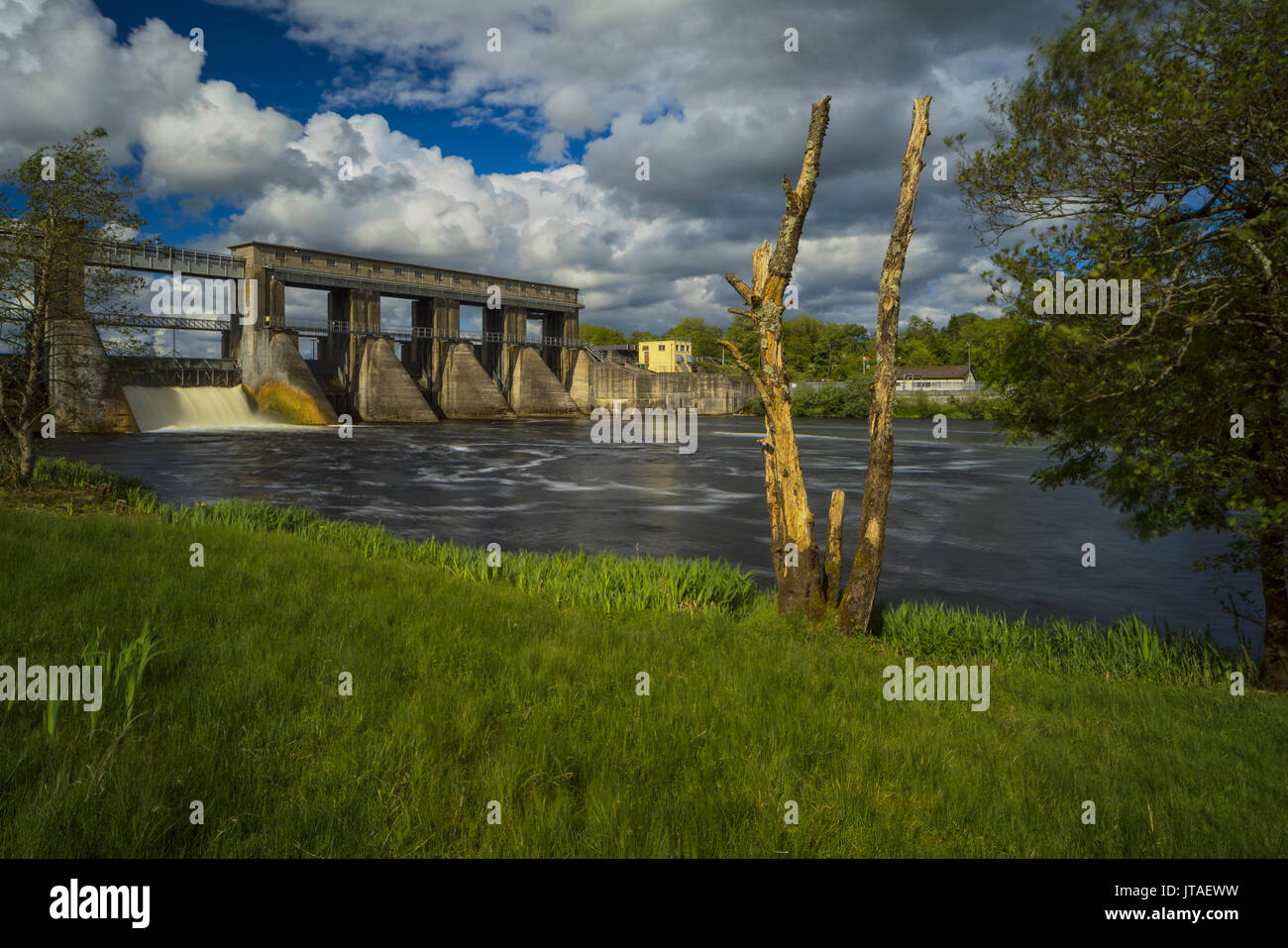 Parteen Weir, County Clare, Munster, Repubblica di Irlanda, Europa Foto Stock