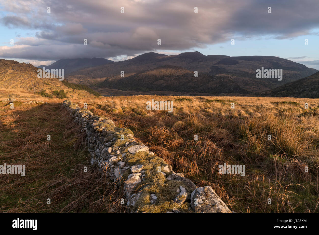 Crinnagh, il vecchio Kenmare Road, Parco Nazionale di Killarney, nella contea di Kerry, Munster, Repubblica di Irlanda, Europa Foto Stock