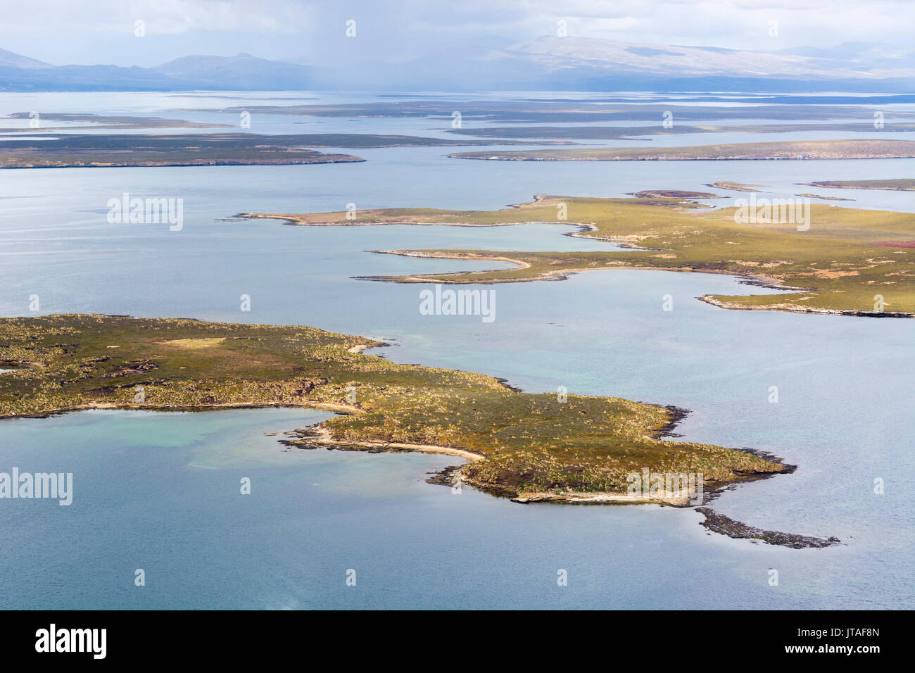Una veduta aerea di Sea Lion Island, Isole Falkland, Sud America Foto Stock
