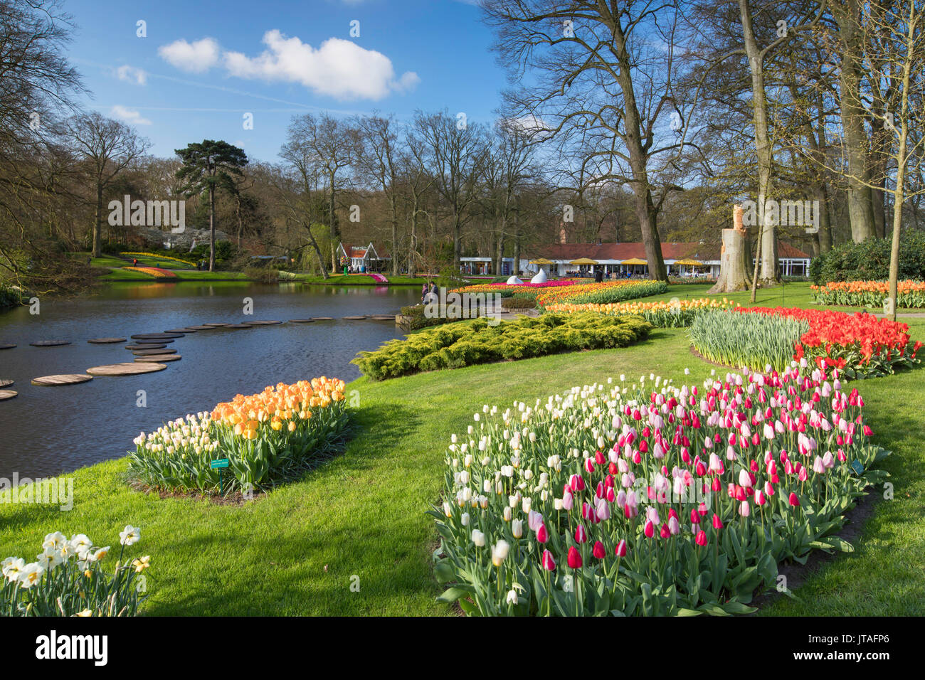 I tulipani in giardini Keukenhof Lisse, Paesi Bassi, Europa Foto Stock
