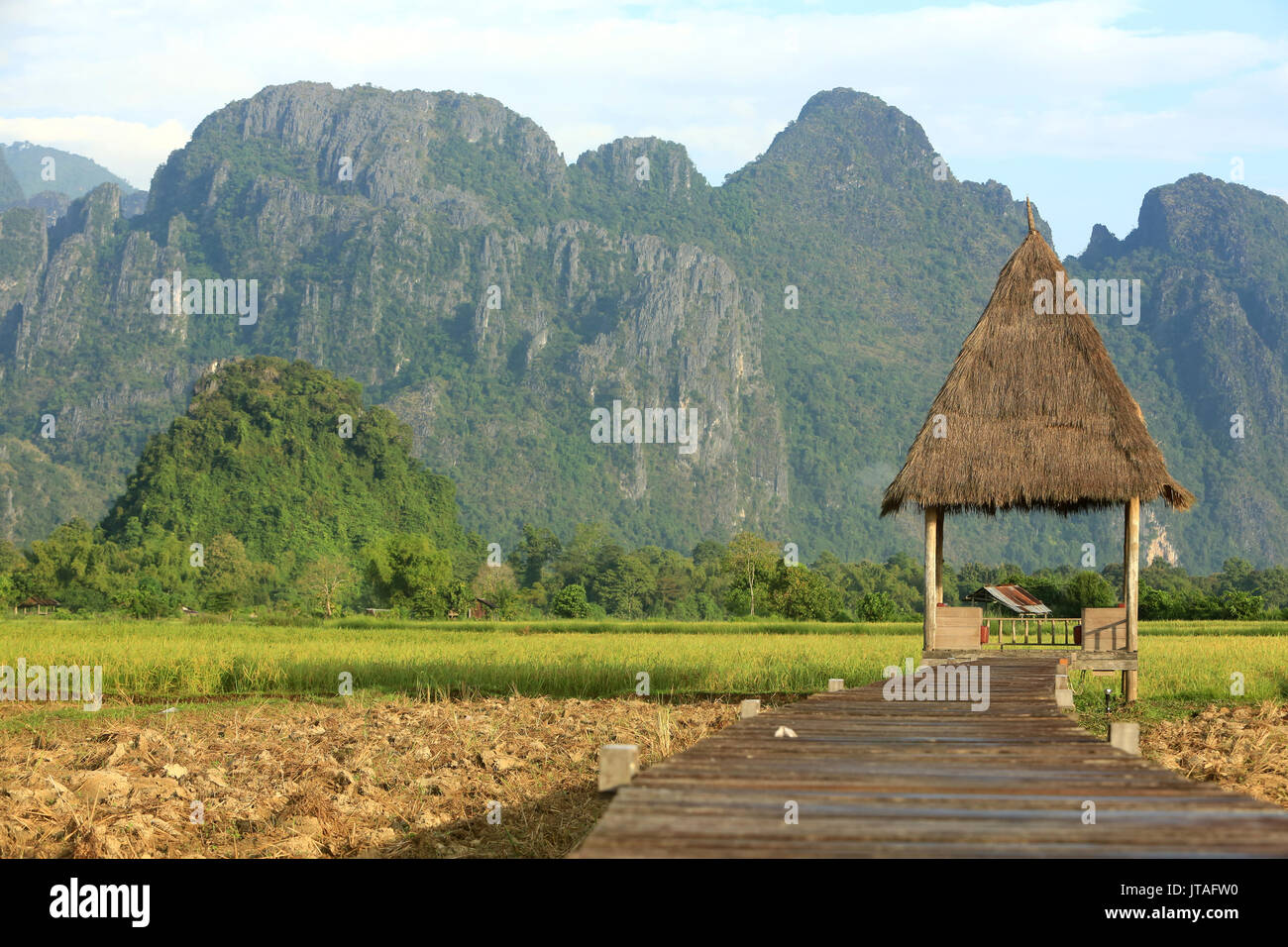 I campi di riso con splendide montagne sullo sfondo, Laos, Indocina, Asia sud-orientale, Asia Foto Stock