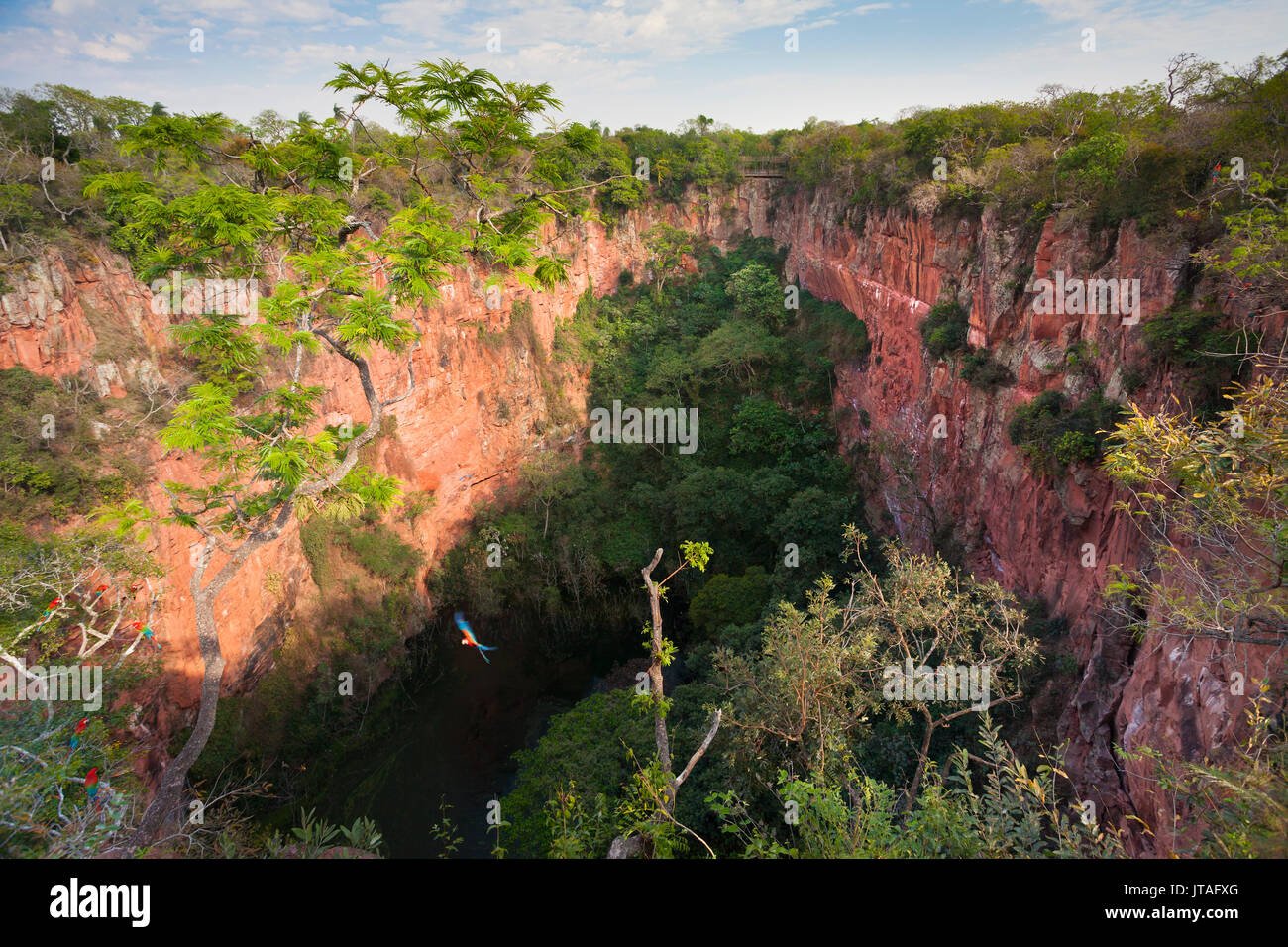 Buraco das Araras (Dolina dei pappagalli) con il rosso e il verde Macaw o verde-winged Macaw (Ara chloropterus) in volo, Mato Grosso do Sul, Brasile, così Foto Stock