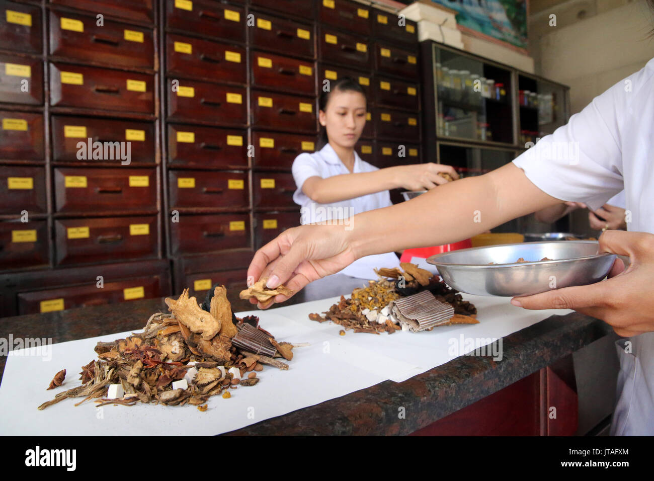 Medicina Tradizionale Cinese farmacia, medicina di erbe terapia, Ho Chi Minh City, Vietnam, Indocina, Asia sud-orientale, Asia Foto Stock