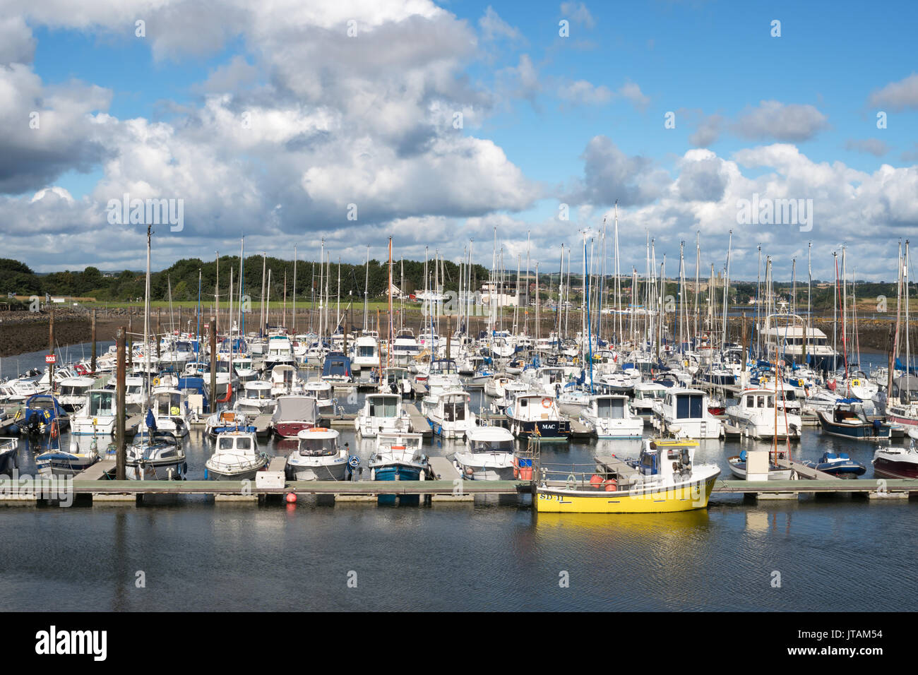 Ampio marina, Northumberland, England, Regno Unito Foto Stock