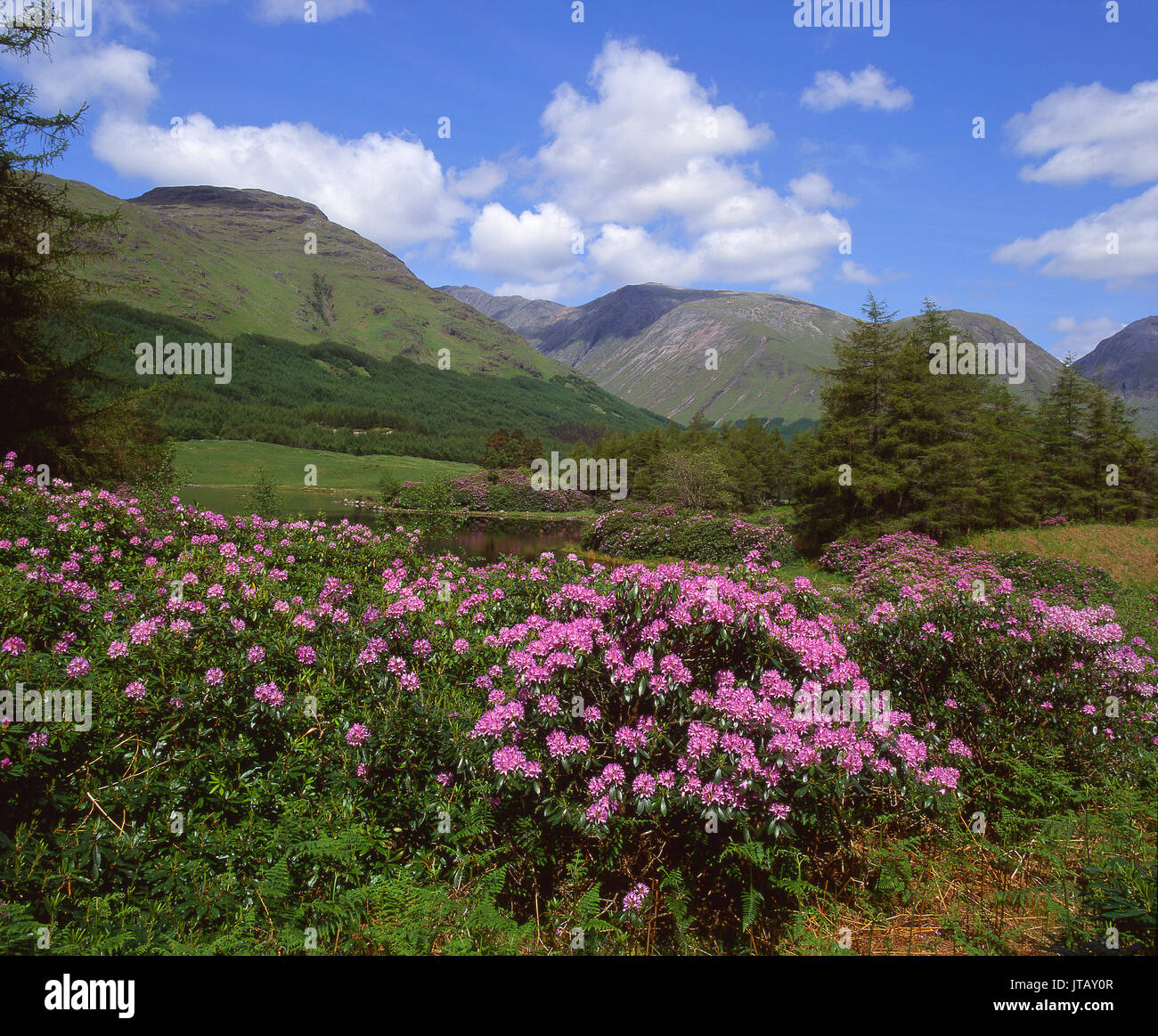 Coloratissima primavera vista di Glen Etive, Argyll Foto Stock