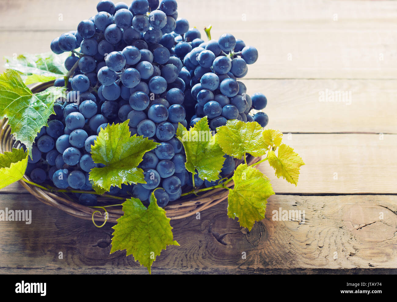 Uva blu in un cesto su uno sfondo di legno tonificante Foto Stock