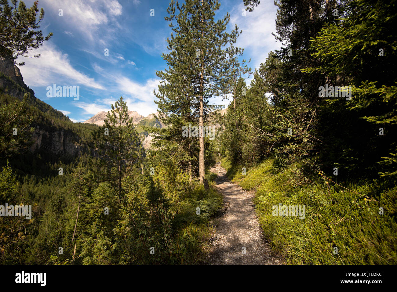 Il percorso di allineamento nella foresta delle alpi in Svizzera vicino a Kandersteg Foto Stock
