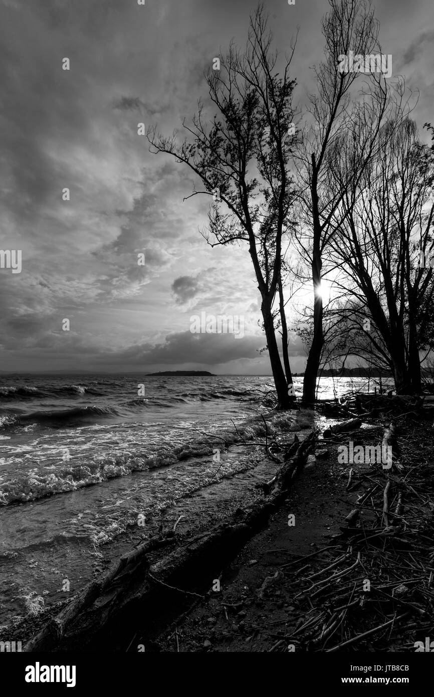 Alberi con retroilluminazione su un lago con Sun in basso sull'orizzonte e onde di acqua Foto Stock