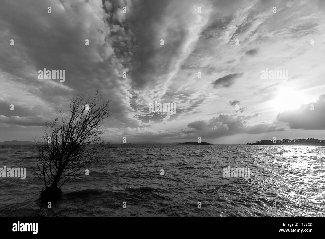 Albero su un lago, con sole basso sull'orizzonte riflettendo su acqua e un bellissimo cielo profondo. Foto Stock