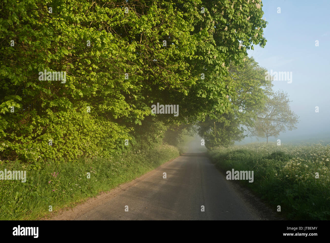 Vicolo del paese sulla foschia mattutina nella primavera del grande Walsingham Norfolk Foto Stock