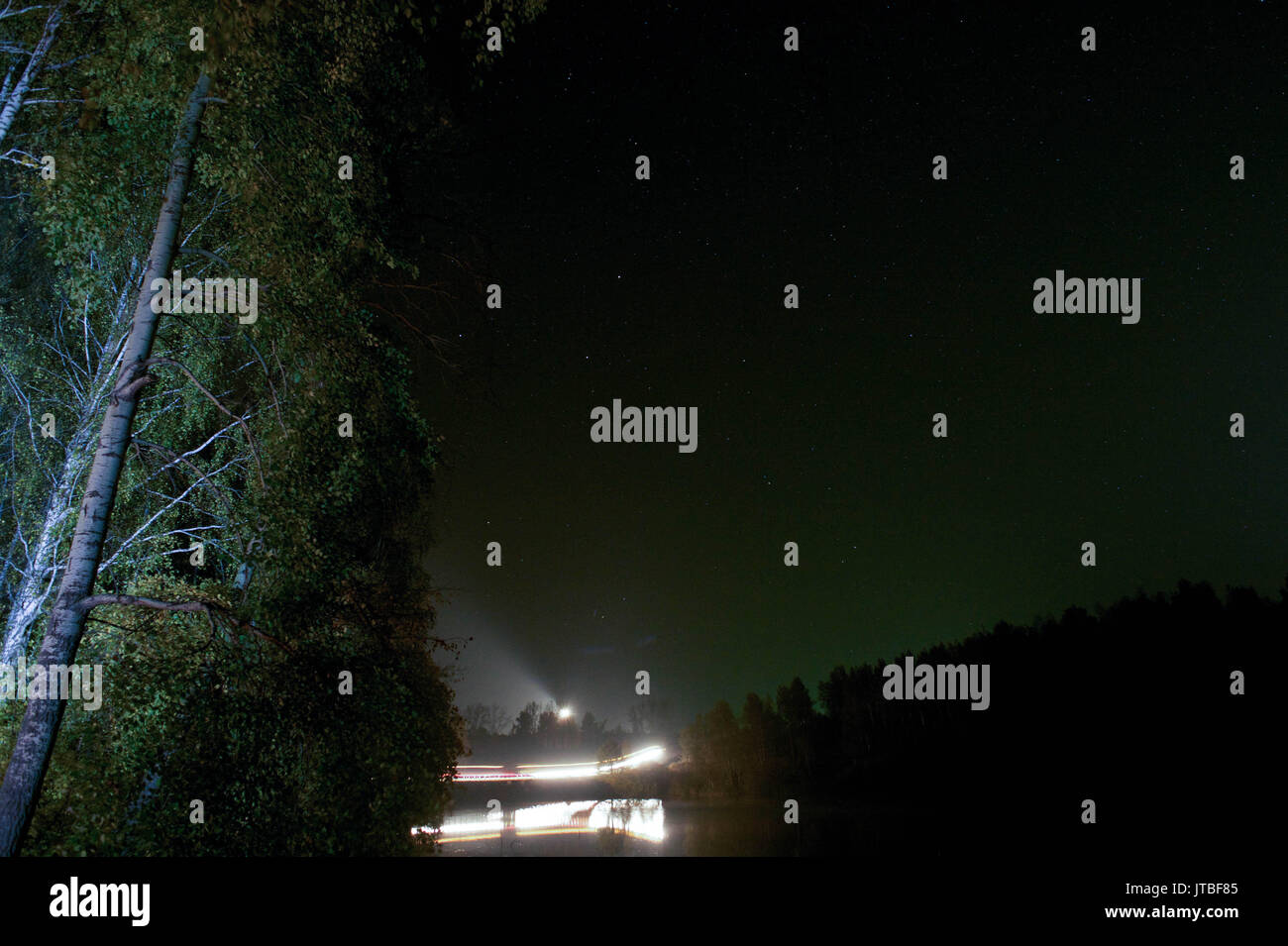 Alla guida di una vettura su una strada di notte nella foresta Foto Stock