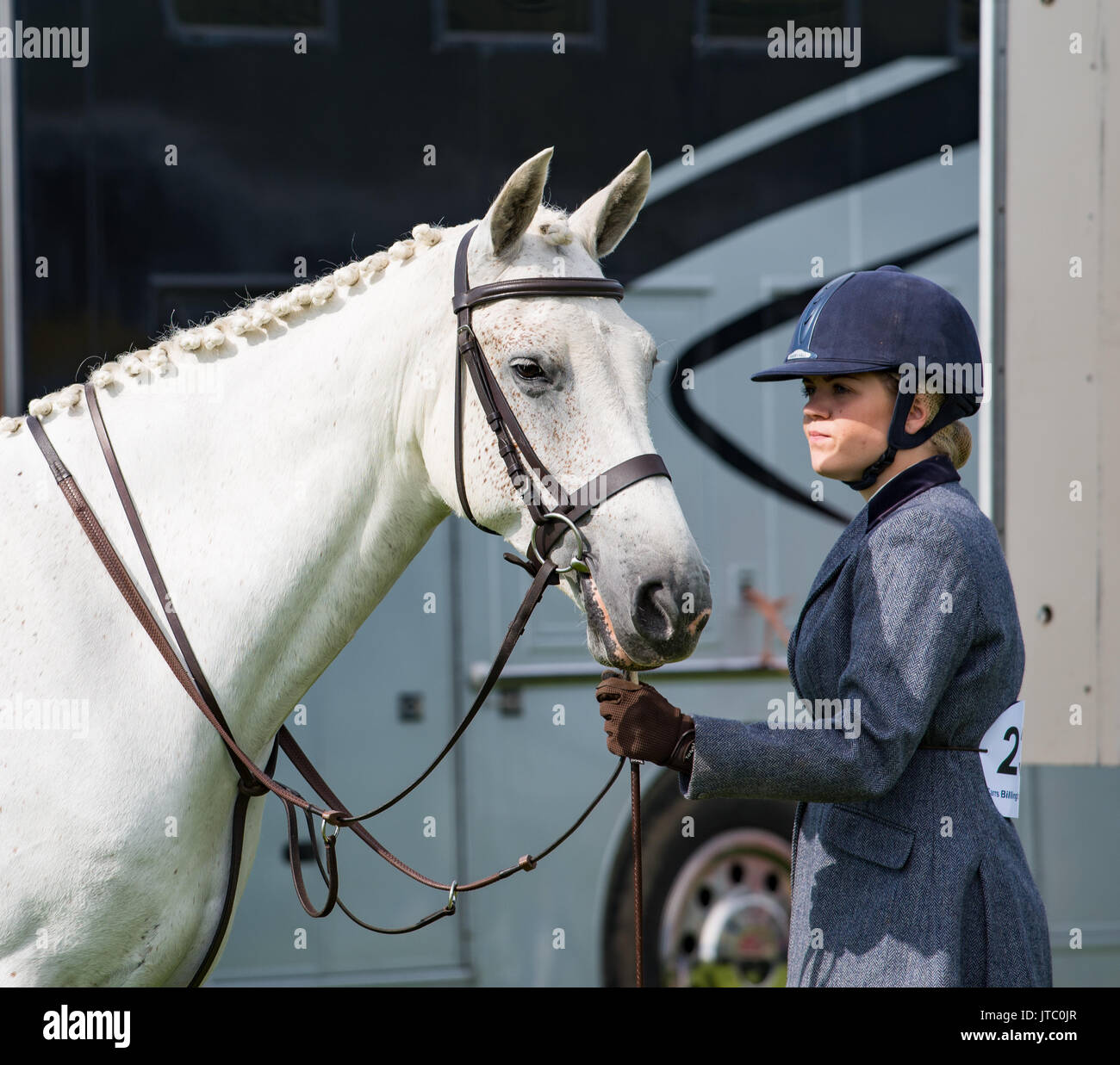 Bianco cavallo e cavaliere in attesa per il concorso dressage Foto Stock