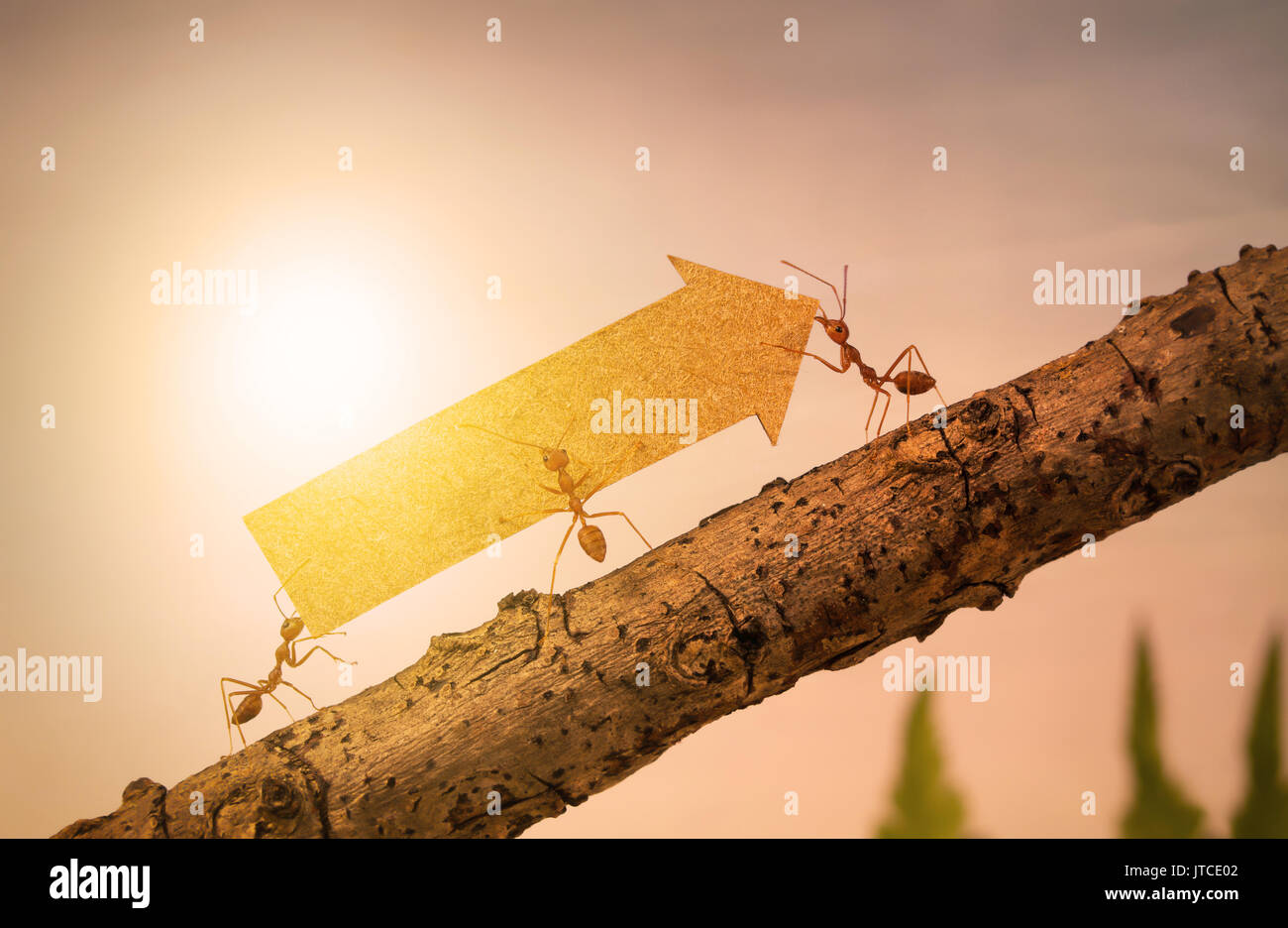 Le formiche portano freccia ascendente per grafico di business, business e il concetto di lavoro di squadra Foto Stock