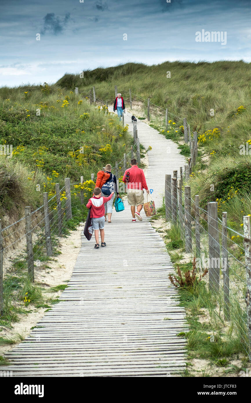 I turisti camminano su un sentiero che attraversa le dune di sabbia coperte da Grass di Marram, Ammophila. Gwithian Towans, Cornovaglia. Foto Stock