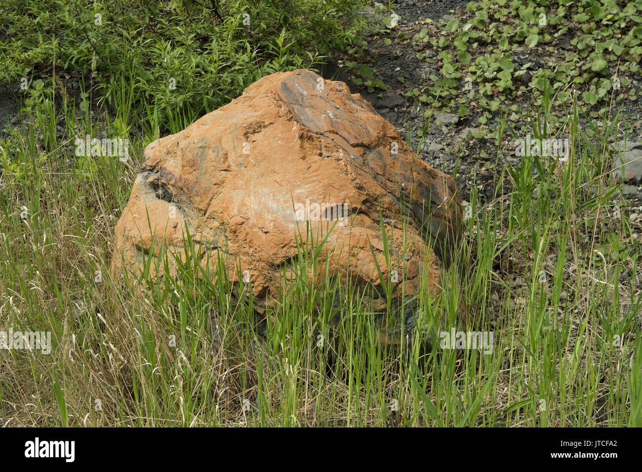 Cava abbandonata per le miniere di carbone nella Regione di Kemerovo Foto Stock