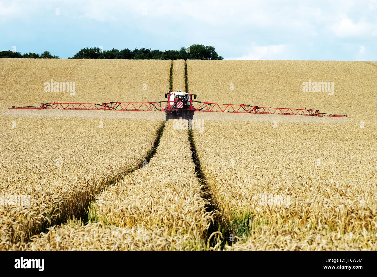 Un raccolto macchina di spruzzatura spruzzatura di un campo di grano in West Lothian, Scozia. Foto Stock