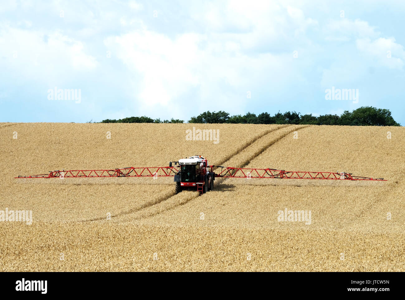 Un raccolto macchina di spruzzatura spruzzatura di un campo di grano in West Lothian, Scozia. Foto Stock
