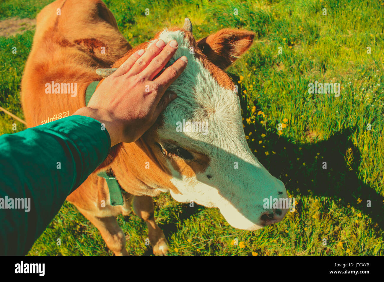 L'amicizia con gli animali.Gli animali sono i migliori amici nel mondo. Foto Stock
