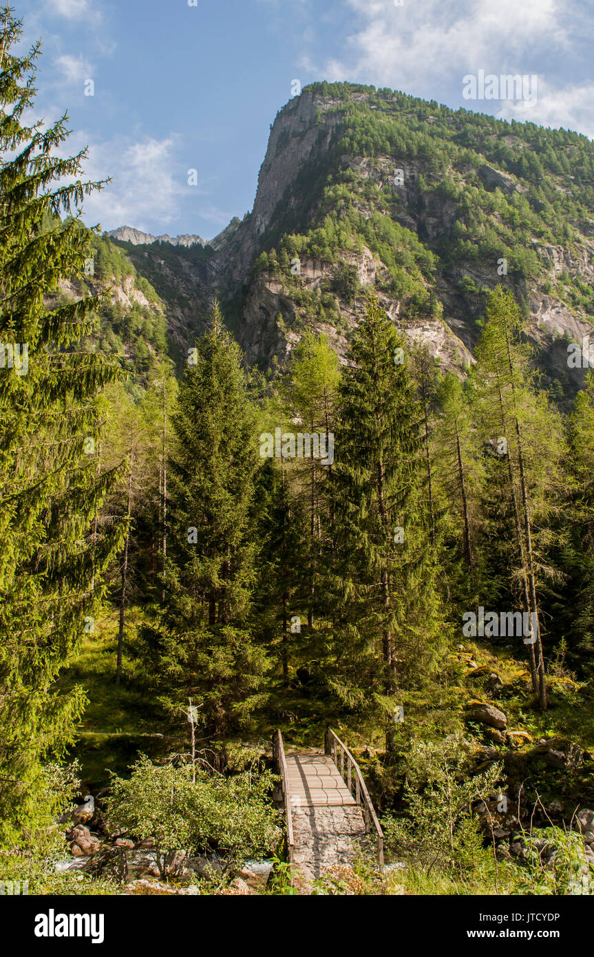 Passerella in legno nella valle di Mello, Val di Mello, una verde vallata circondata da montagne di granito e alberi da foresta italiana la Yosemite Valley Foto Stock