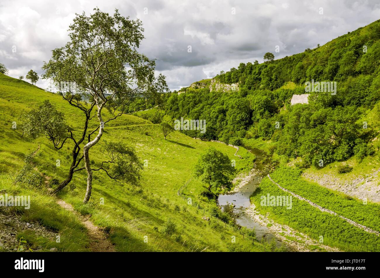 Una vista di Smardale Gill, Cumbria. Foto Stock